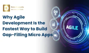 agile development for micro apps